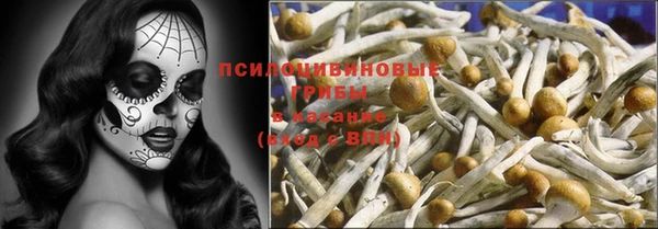 прущий лед Лагань