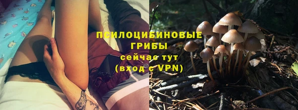 прущий лед Лагань